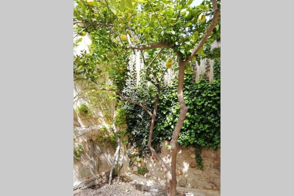 Cas Potecari Villa Porreres Kültér fotó